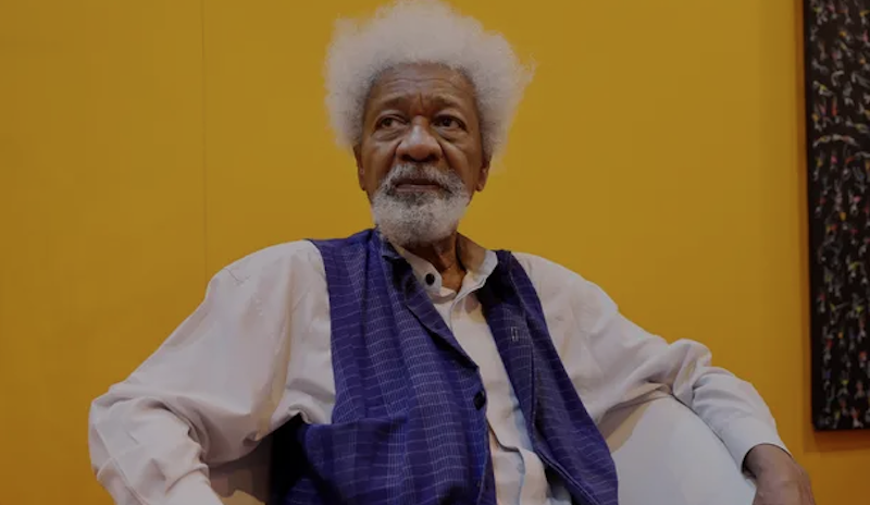 Soyinka to Scientists: Don’t Let AI Rob Us of Our Humanity
